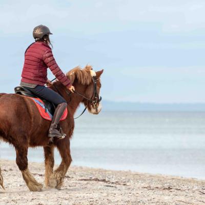 20250302 171212 3 33