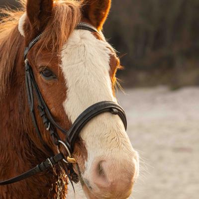 20250302 172013 9 177